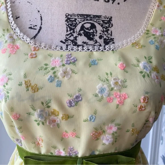 Vintage 1970s Handmade Floral Empire Waist Regency Prairie Formal Prom Dress - Picture 14 of 14